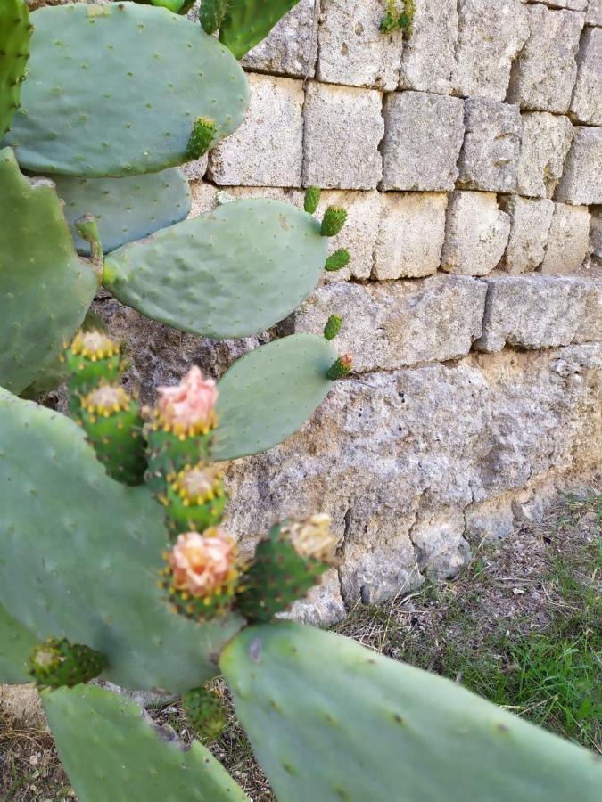 Casina Nel Salento Lägenhet Lecce Exteriör bild